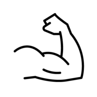 Zeichnung eines muskulösen Arms