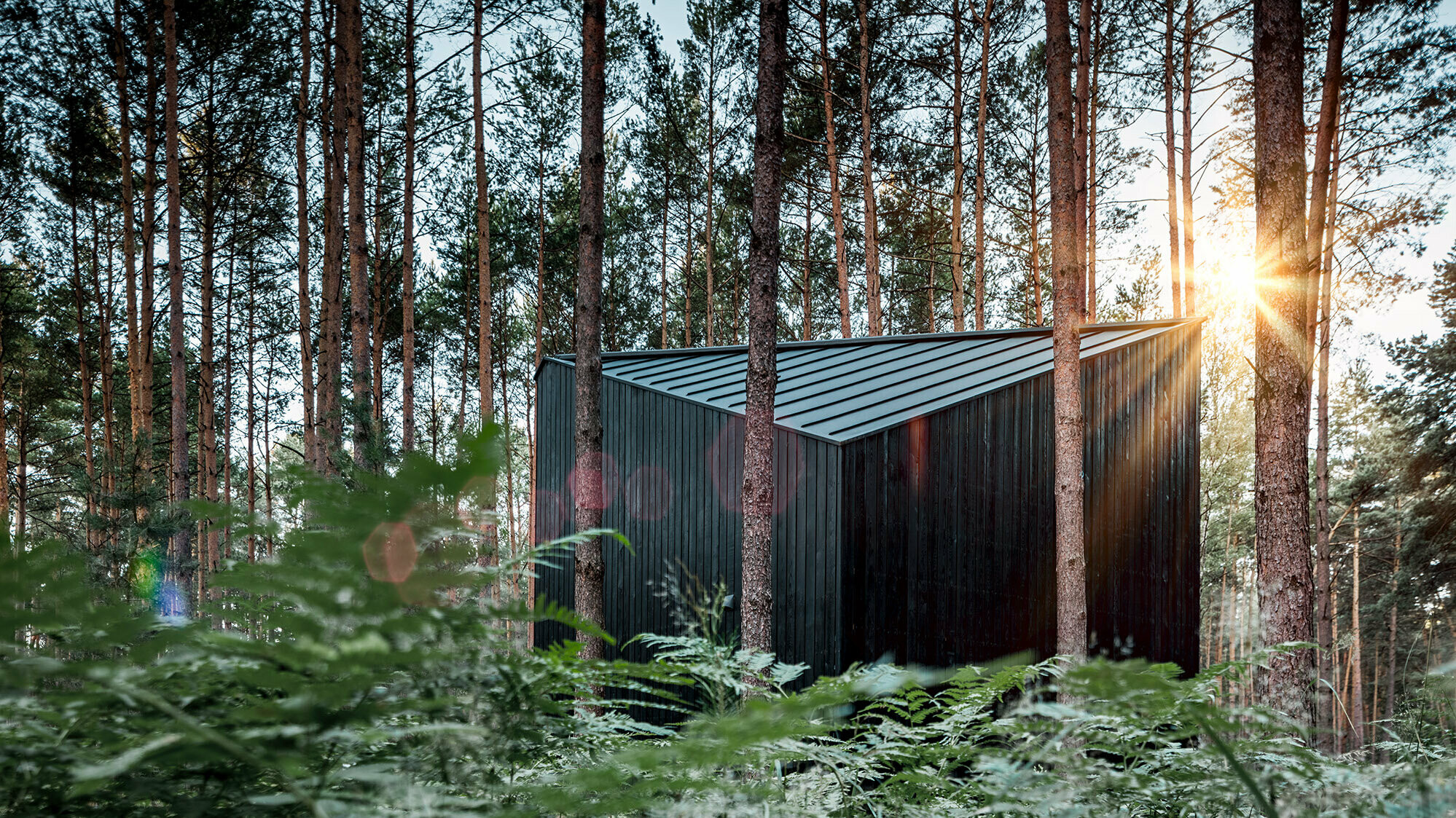 La maison de vacances se démarque avec sa façade en bois sombre et son toit noir en PREFA au milieu des pins.