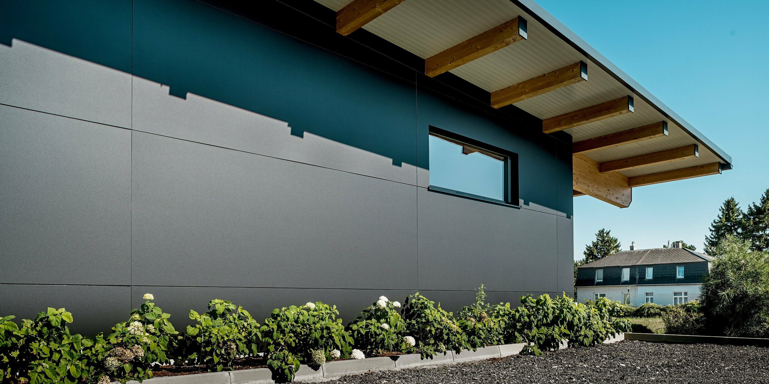 Seitenansicht des Weinguts Nigl mit moderner PREFA Aluminiumfassade in P.10 Schwarz. Die präzise verlegten Verbundplatten erzeugen eine ruhige, elegante Flächenwirkung. Sichtbar sind auch die markanten Schatten der auskragenden Holzdachträger, die der Fassade zusätzliche Tiefe verleihen. Ein schmales Fenster durchbricht die reduzierte Formensprache und sorgt für gezielte Lichtführung im Innenraum. Am unteren Bildrand lockert ein schmal bepflanztes Beet mit Hortensien und Weinlaub die strenge Linienführung auf. Die PREFA Fassade überzeugt durch ihre Witterungsbeständigkeit, Langlebigkeit und hochwertige Verarbeitung – ideal für anspruchsvolle, moderne Architektur im Weinbau.