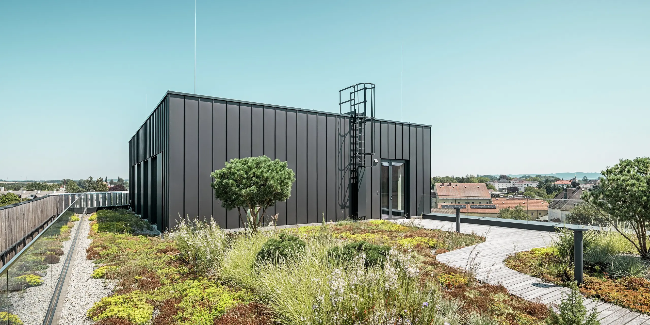 Le toit praticable du Team 7 World à Ried im Innkreis associe une façade PREFALZ noir-brun à un toit végétalisé. Le revêtement en aluminium de haute qualité impressionne par sa durabilité et sa résistance aux intempéries, tandis que le jardin sur le toit apporte un élément durable et naturel. Cette combinaison d’architecture progressiste et de conception écologique crée une retraite harmonieuse au-dessus des toits de la ville.