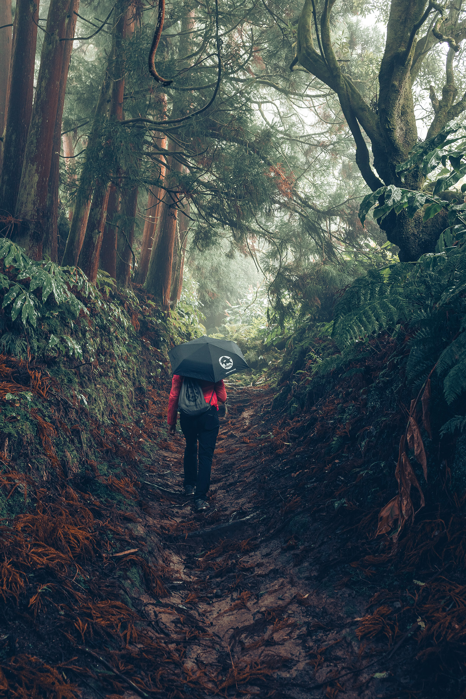 Aufnahme im Wald mit Wanderin in roter Jacke mit PREFA Regenschirm und Turnbeutel, symbolisiert den PREFA Umweltschutz und Nachhaltigkeit, sowie die Kreislaufwirtschaft und Recycling