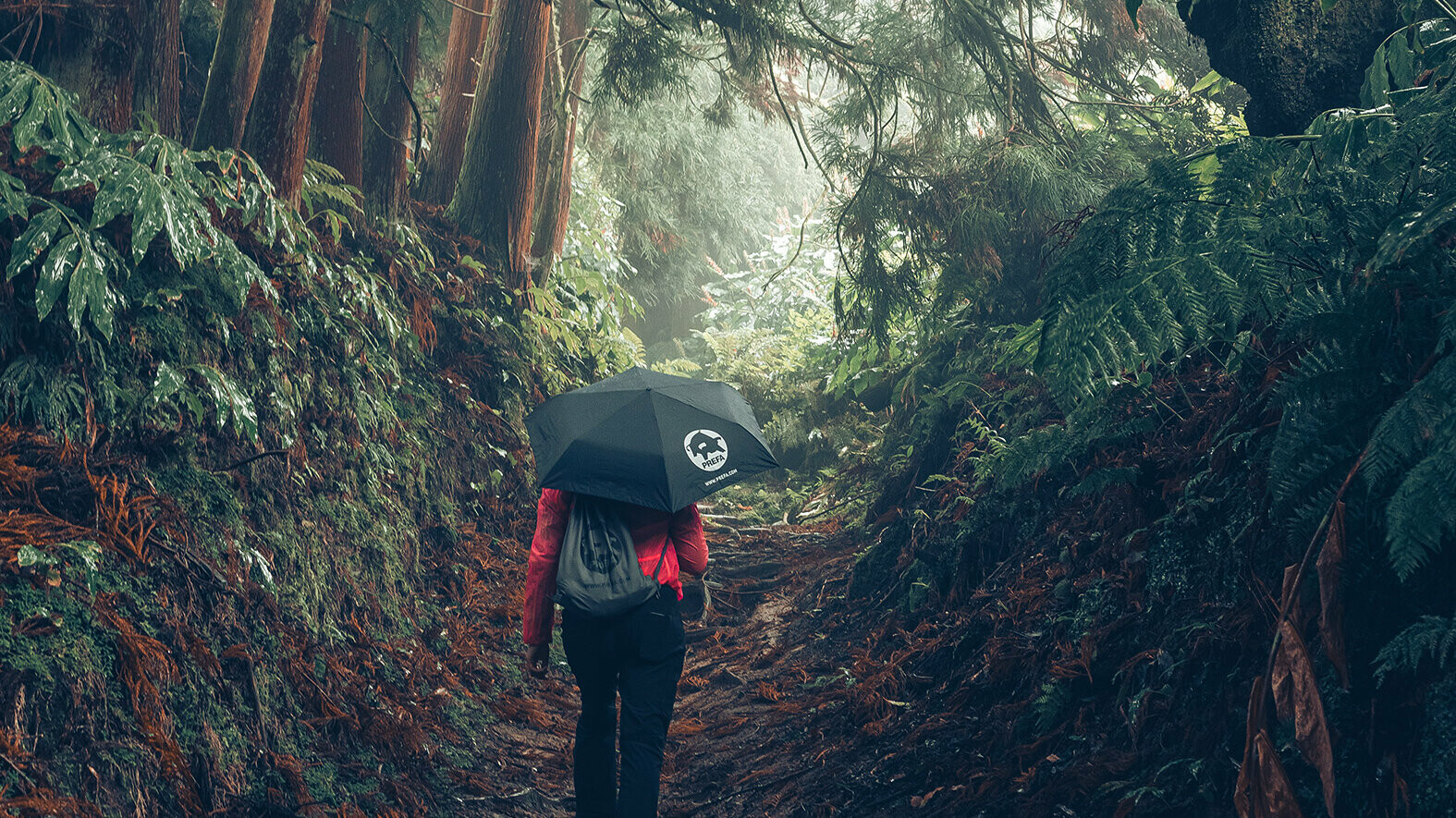 Photo : promeneuse en forêt, en veste rouge avec parapluie et sac à dos PREFA, symbolisant la protection de l’environnement et la durabilité PREFA, ainsi que l’économie circulaire et le recyclage